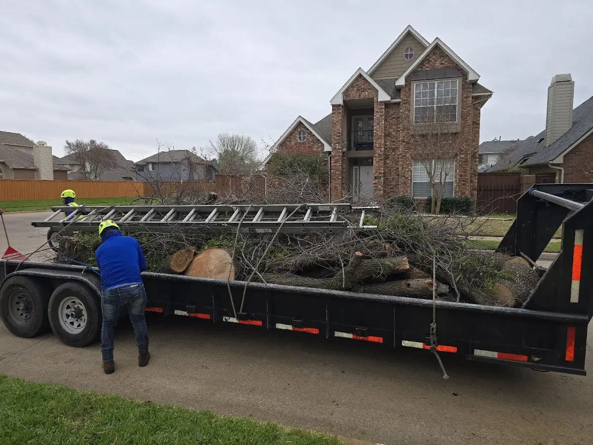 Expert Tree Fertilization with proper safety equipment in Downing